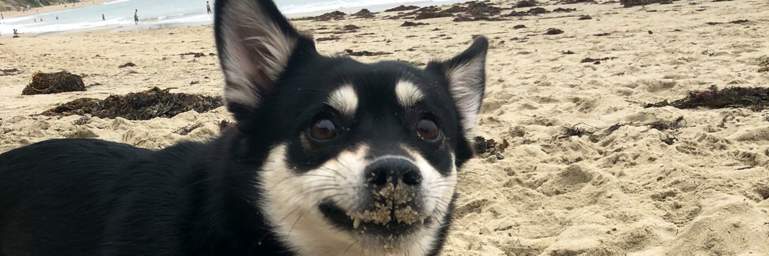 TonyTheTiggah's profile banner image