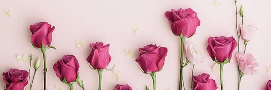 AnnaUkhti_'s profile banner image