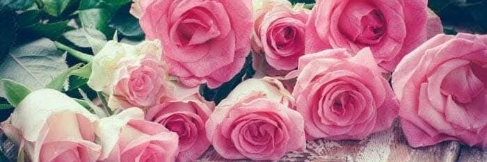 Antoinette Rader banner