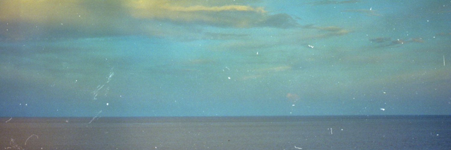 ___pipimo's profile banner image