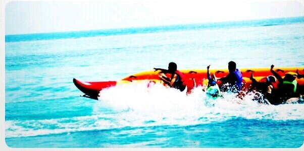 Nesya banner