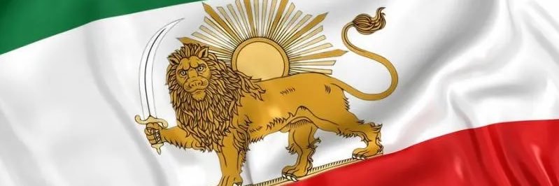 Davood Zarei 🇮🇷 banner