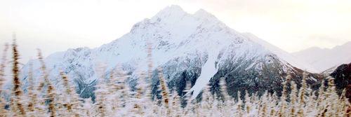 amanda hansen banner