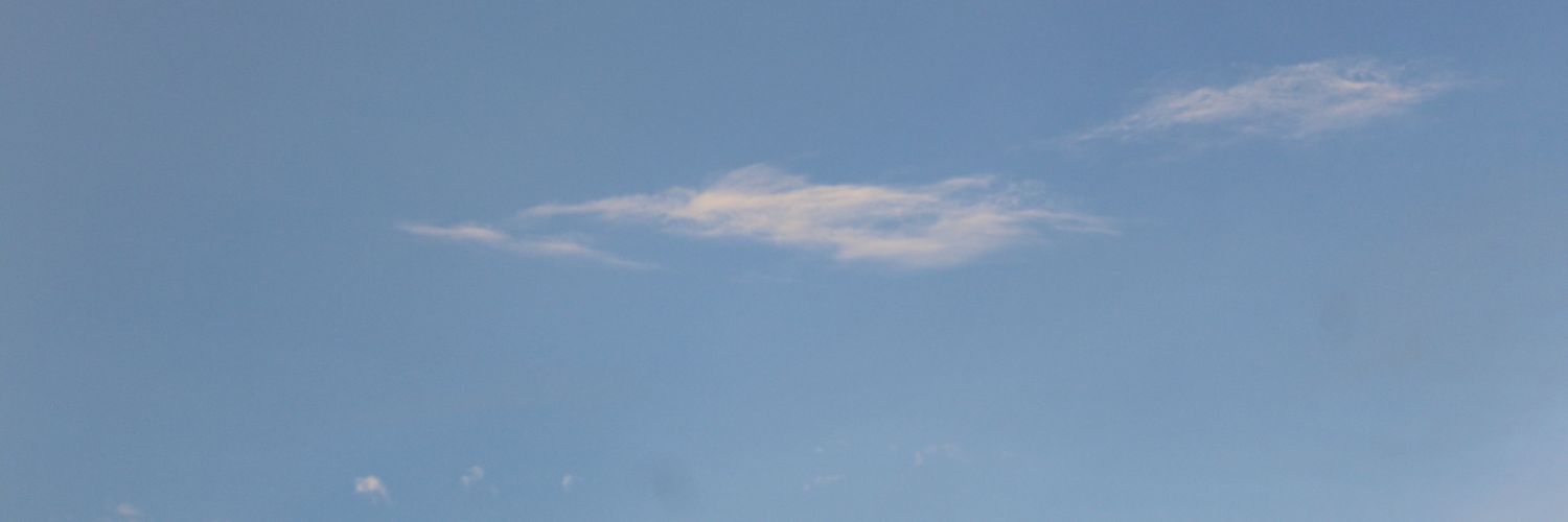 EverErikaJ's profile banner image