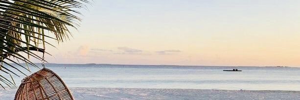 RedeateAlemu's profile banner image