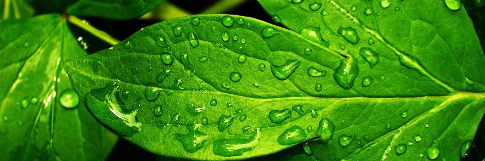 TweetItGreen's profile banner image