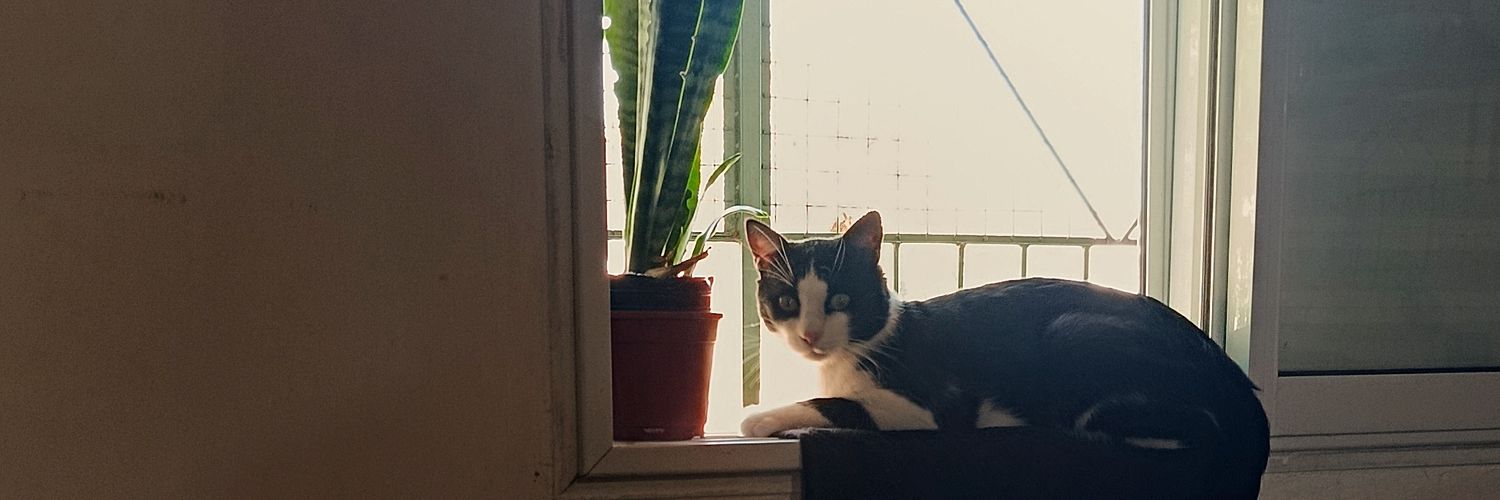 vmxyano's profile banner image