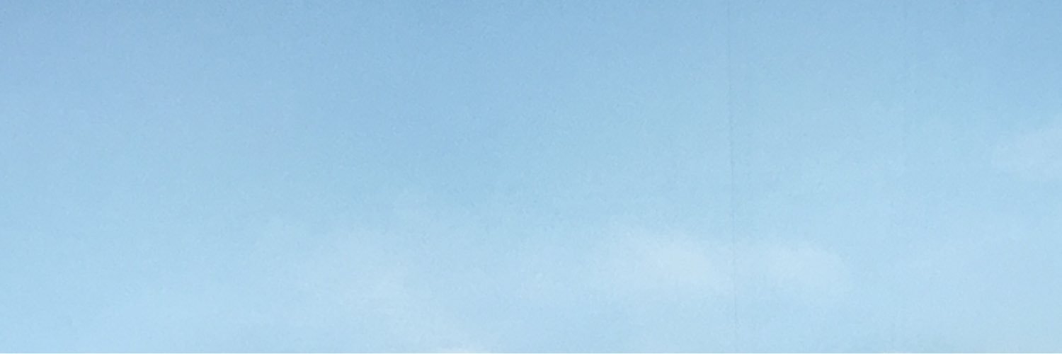 Sabine Eevers banner