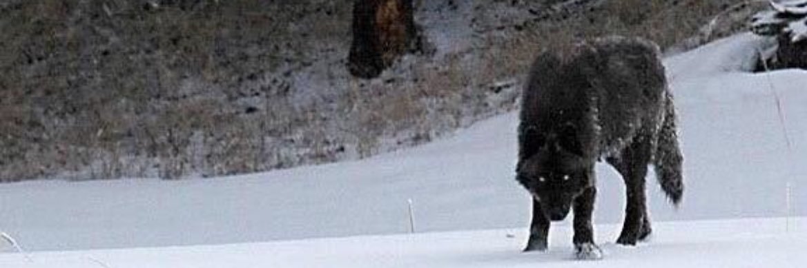 D_Fimbres50's profile banner image
