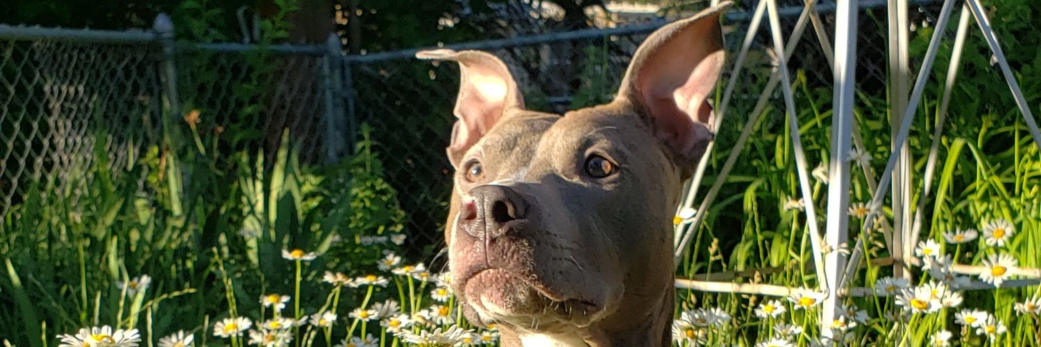 tuski88's profile banner image