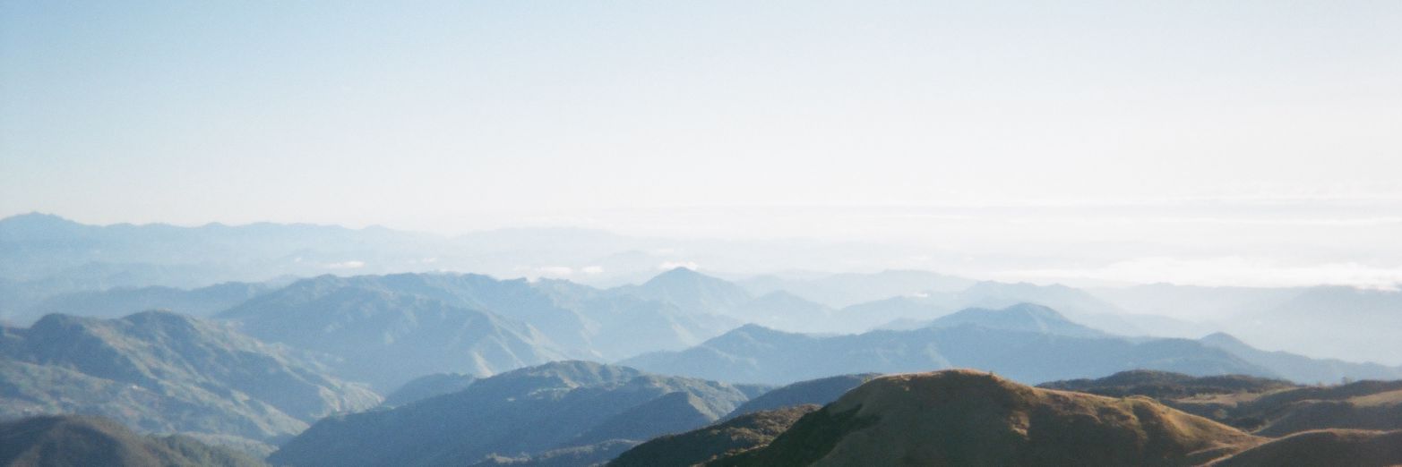 marj 🌱 banner