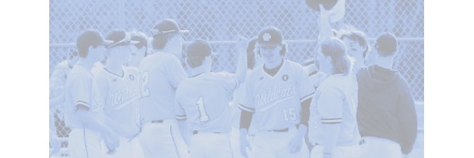 YorkWildcatBaseball banner