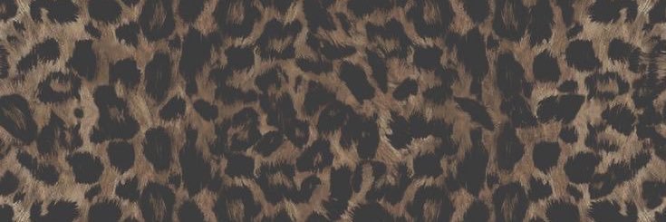 PrettyGirlTaay's profile banner image