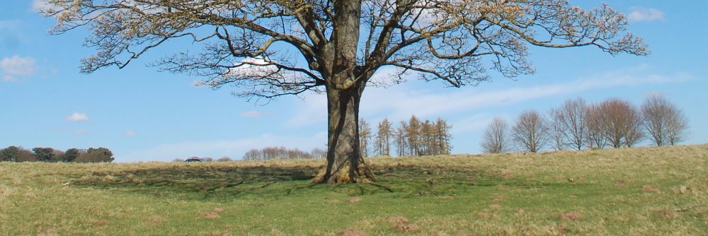 Dependcarers's profile banner image