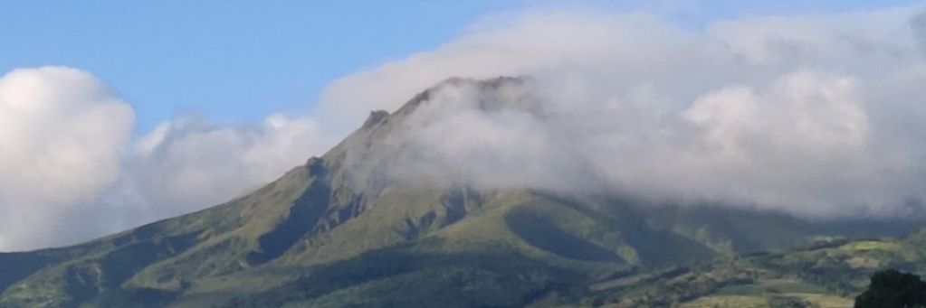 Joe Peski banner
