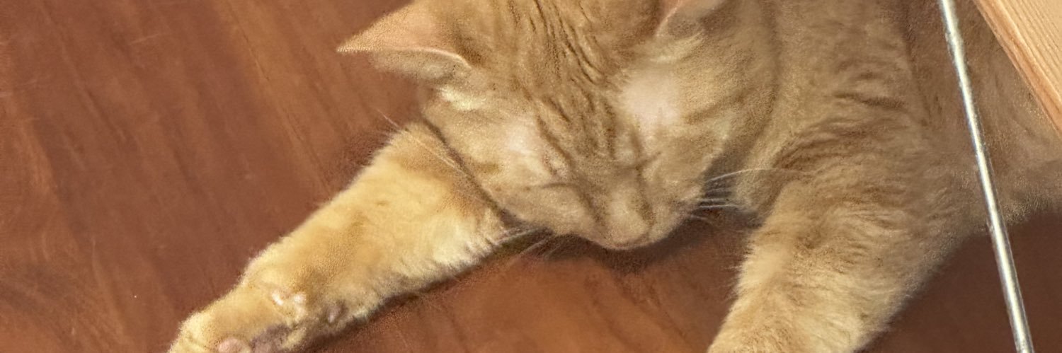 新垣よしとよ 沖縄県議会議員（自民党） banner