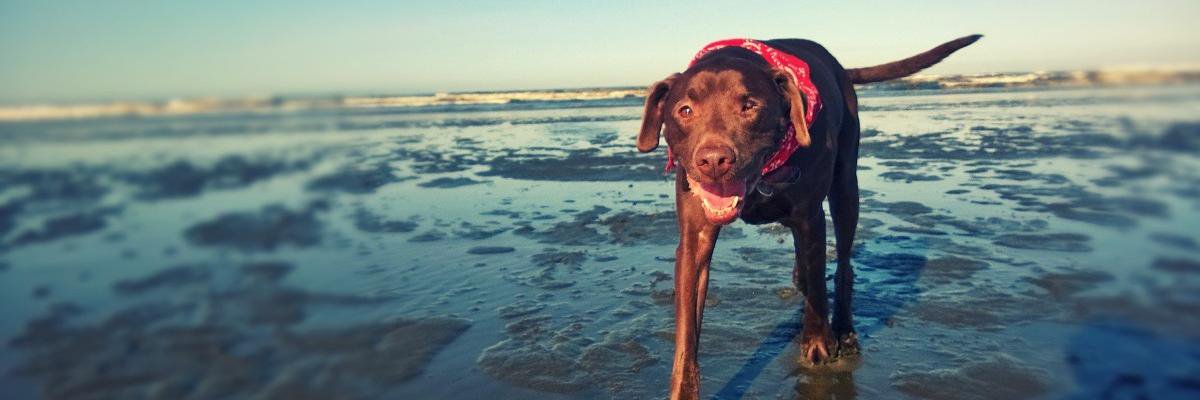 carey1216's profile banner image