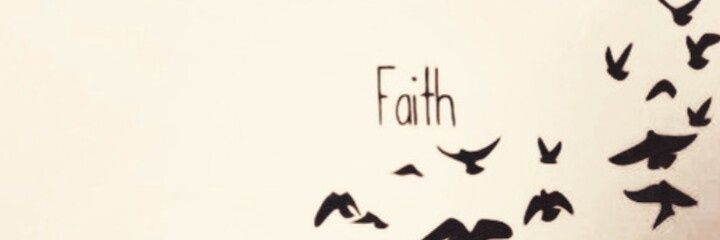 Bellas_ts's profile banner image