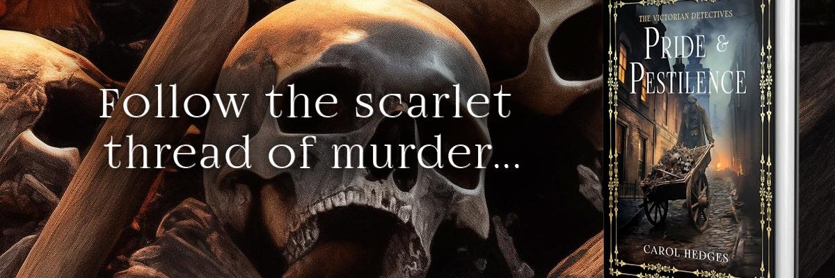 carolJhedges's profile banner image