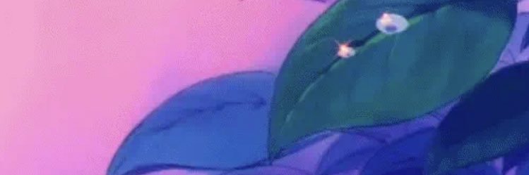 dandeIionpill's profile banner image