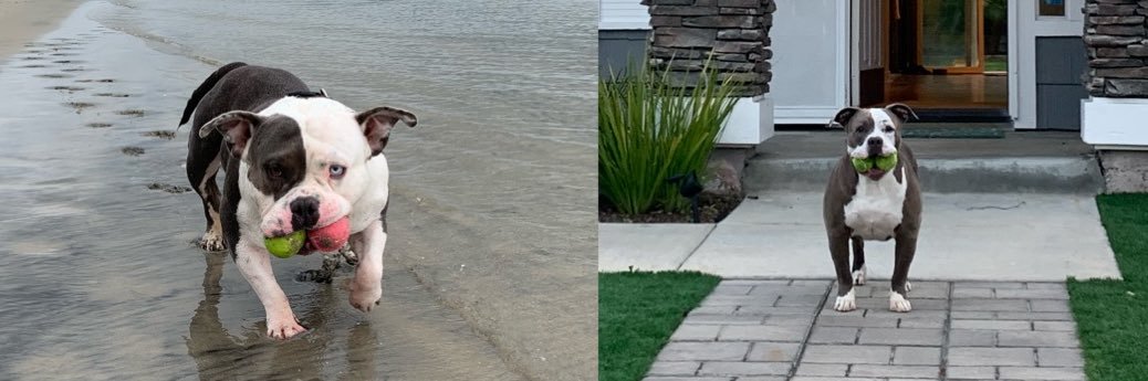 Jess Parker banner