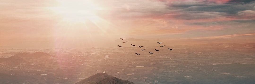 Veronica_Cruz2's profile banner image