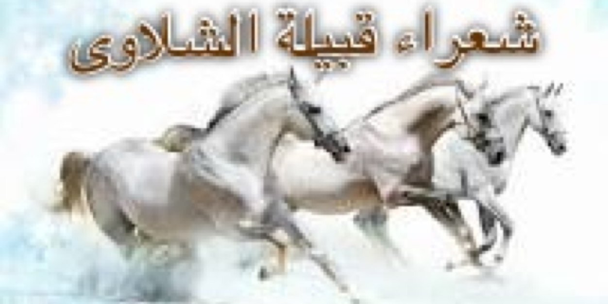 alshalawa's profile banner image