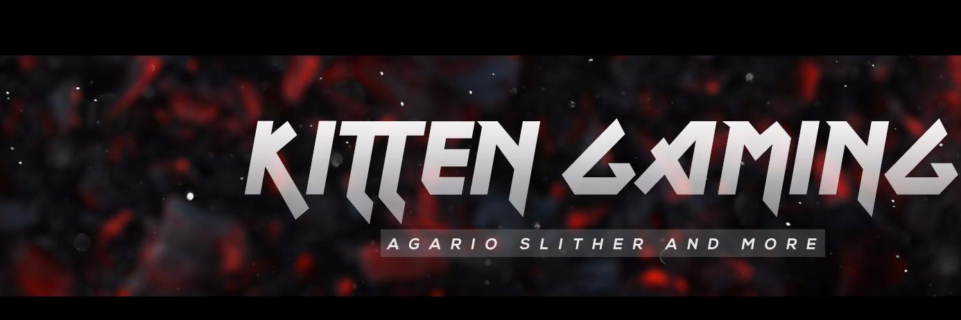 Gamingkitten6 banner