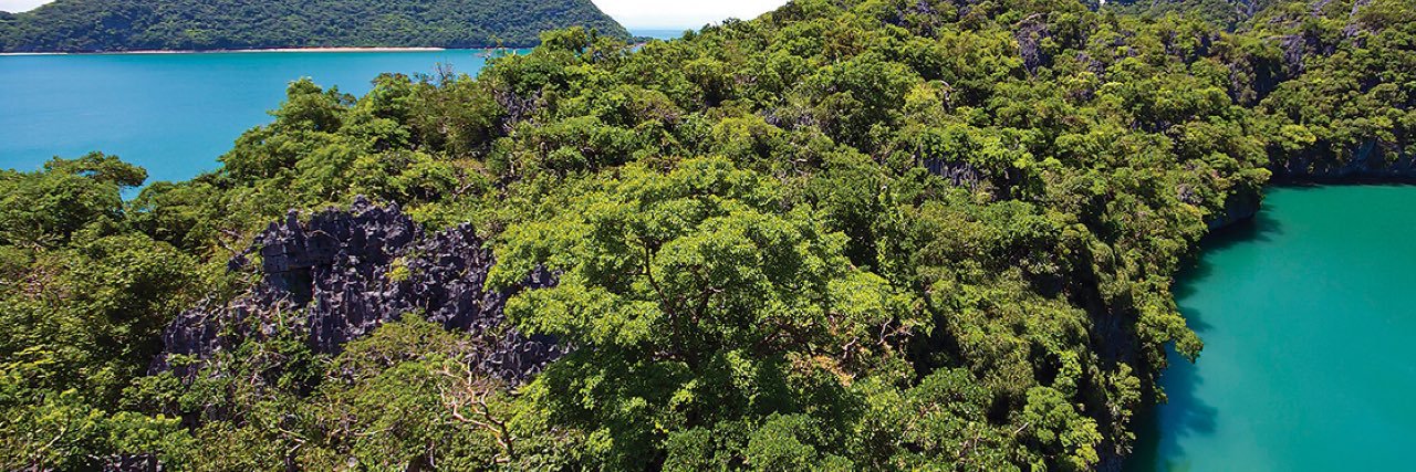 Бобби Сингер banner