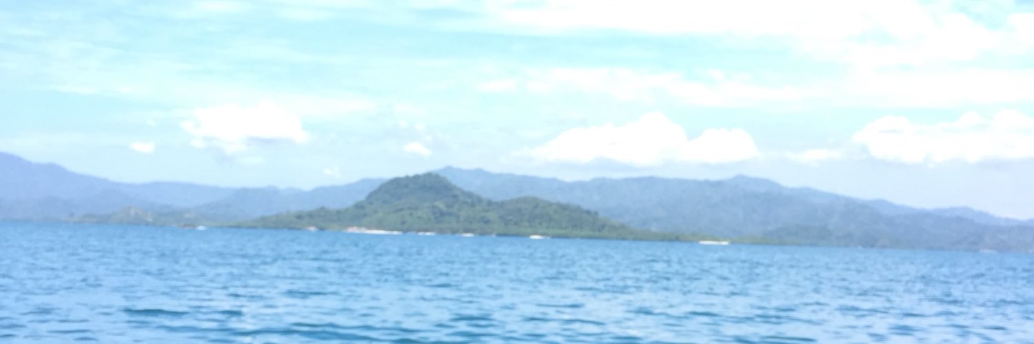 megaFeliza's profile banner image