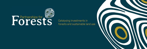 P4Forests Profile Banner