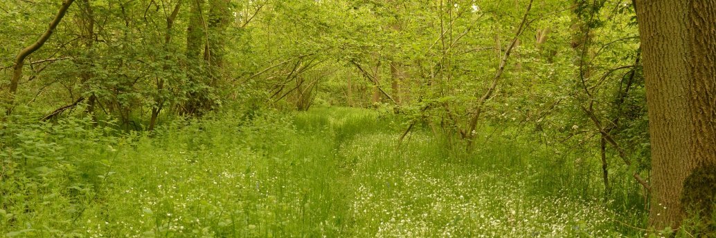 Lorna Griffiths banner
