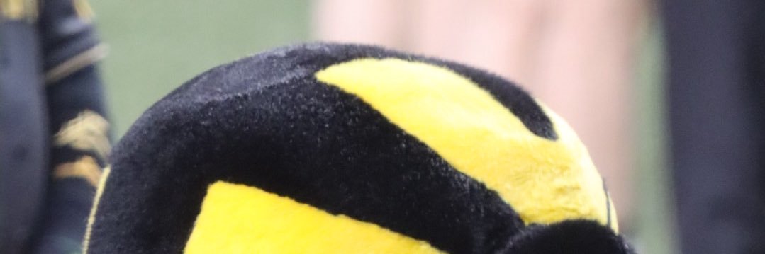 sun29335's profile banner image
