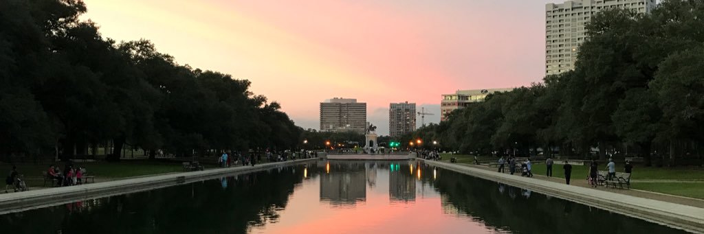 Leandro Ardissone banner