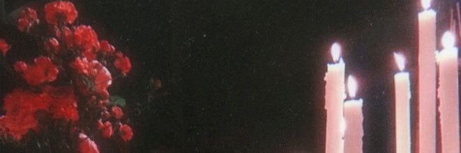 steph🫧's banner