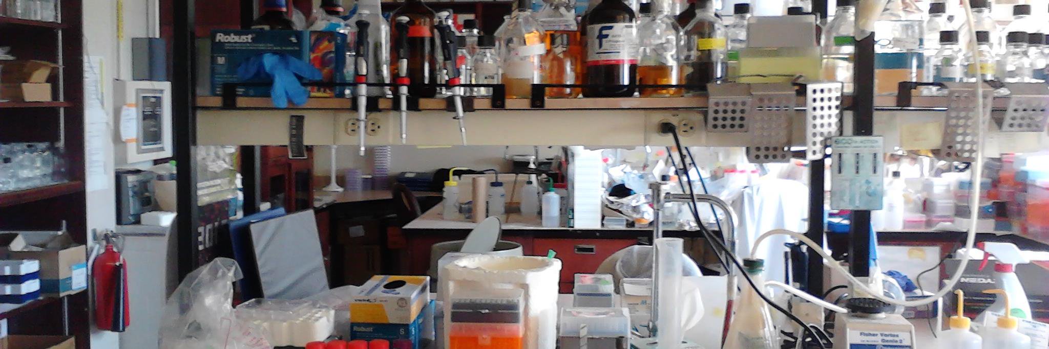 Philippe G-Vallée banner