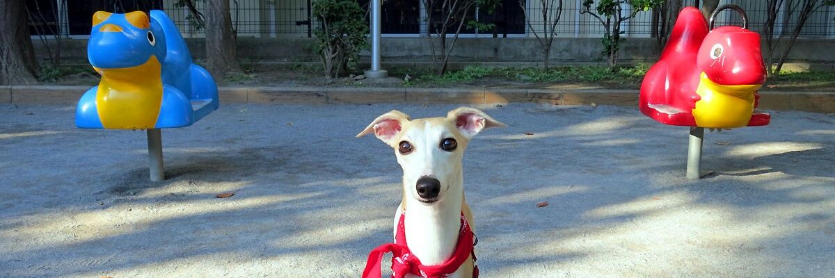 anrin_man's profile banner image