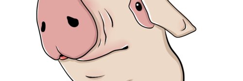 dpsaini6614's profile banner image