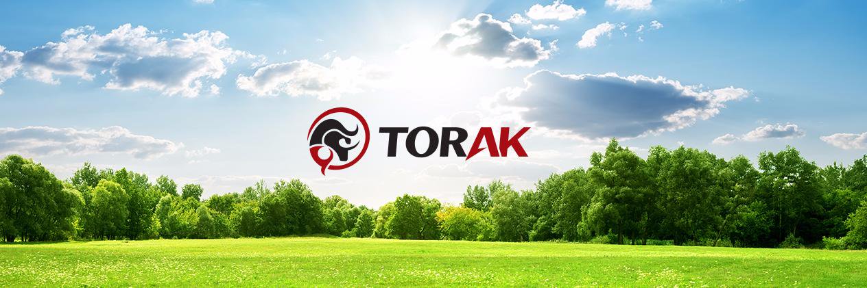 TorakAgile's profile banner image