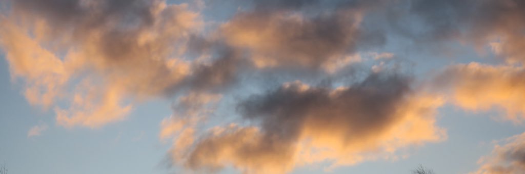 YolandeWillems's profile banner image