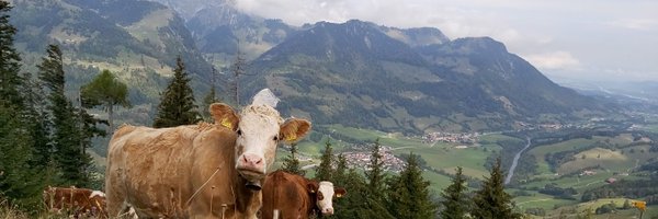 Zouters Profile Banner