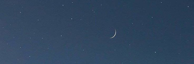 shereen banner