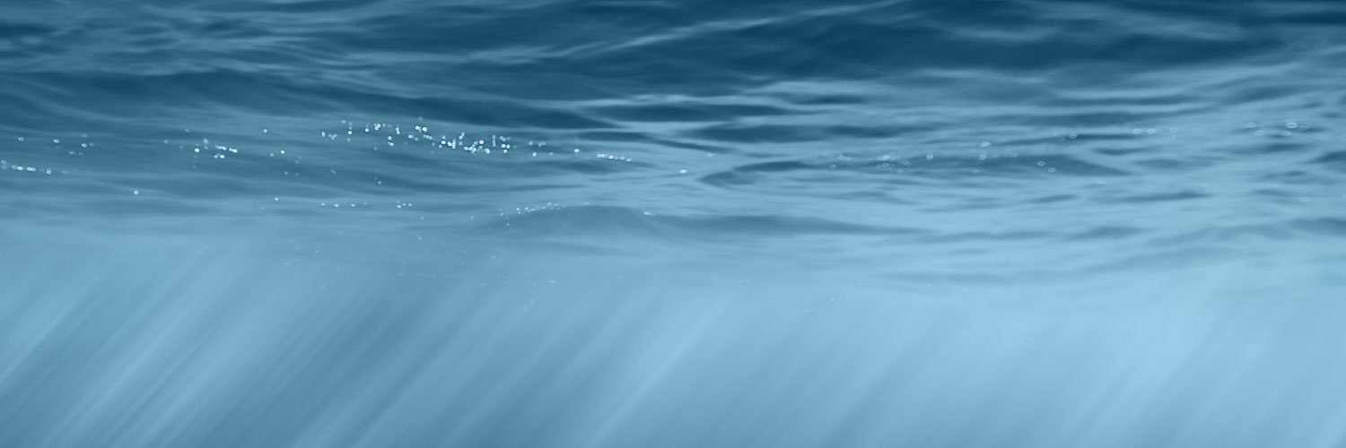 PhilHerson's profile banner image