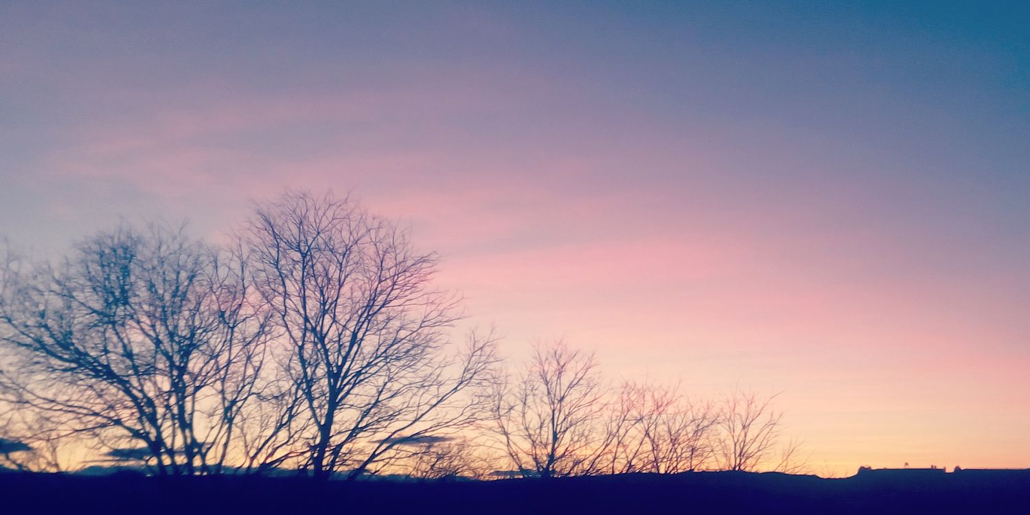 raquel_llop's profile banner image