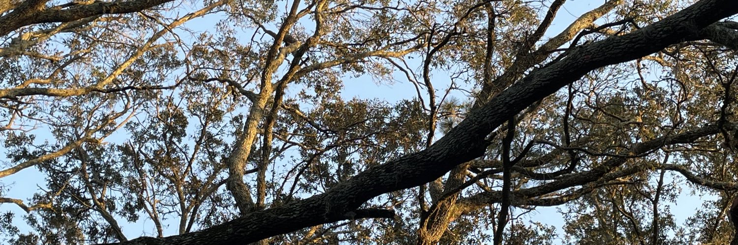 mitchum311's profile banner image