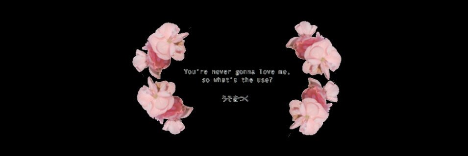 fxkryssie's profile banner image