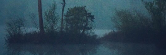 hunter_harless0's profile banner image