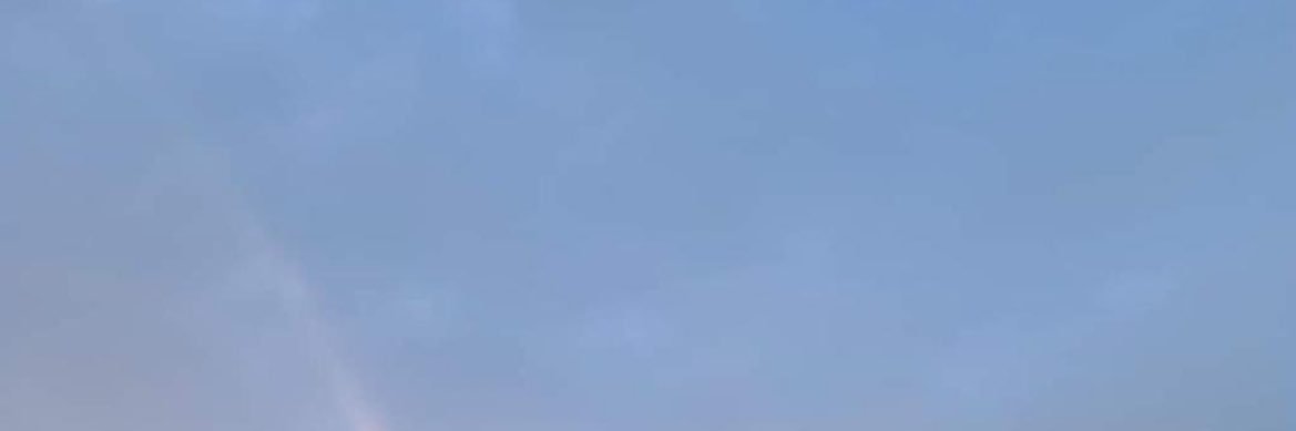 صالحه علي banner