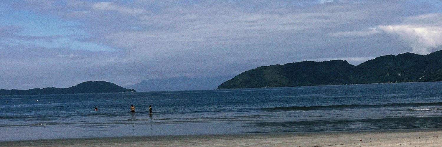 brilha brilha estrelinha banner