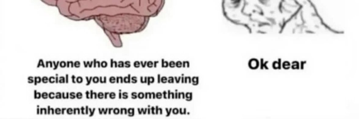 🤡PinkDarkBoy🤡 | Local Fucking Idiot | Fat Fuck banner